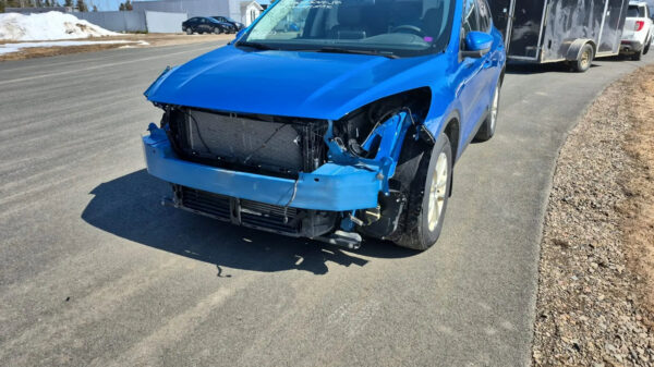 Used Ford Escape – Wholesale Export from Canada | Global World Trading - Image 5